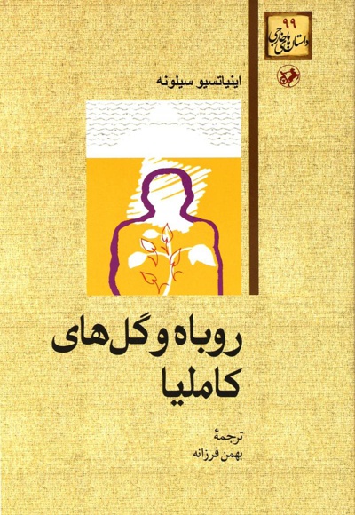 روباه و گل های کاملیا